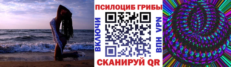 Купить закладки  Чекалин  Псилоцибиновые грибы Psilocybine cubensis 